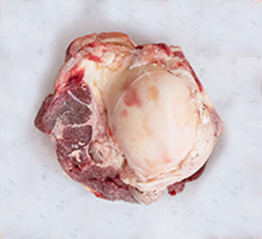 Knuckle End Beef Bones