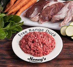 Free Range Duck